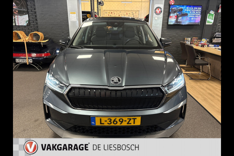 Škoda ENYAQ iV 80 / Navigatie / pdc v+a / camera / Panorama-dak