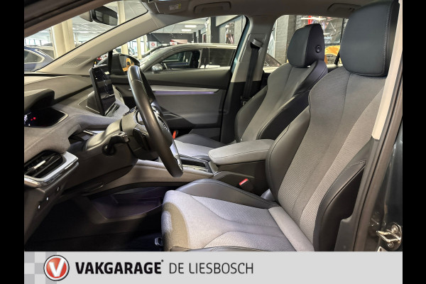 Škoda ENYAQ iV 80 / Navigatie / pdc v+a / camera / Panorama-dak