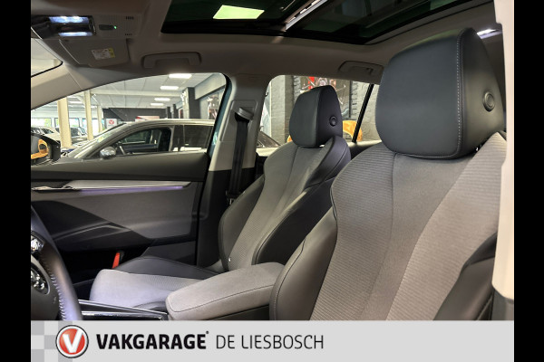 Škoda ENYAQ iV 80 / Navigatie / pdc v+a / camera / Panorama-dak