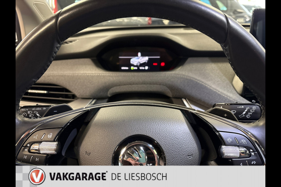 Škoda ENYAQ iV 80 / Navigatie / pdc v+a / camera / Panorama-dak