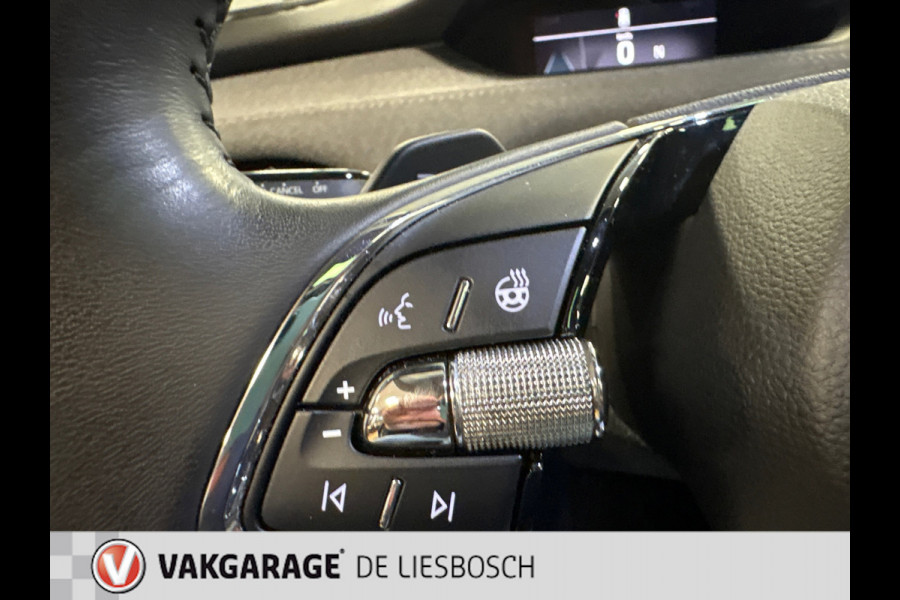 Škoda ENYAQ iV 80 / Navigatie / pdc v+a / camera / Panorama-dak