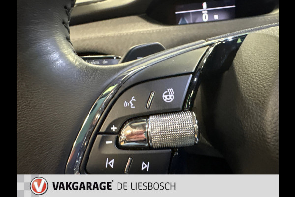 Škoda ENYAQ iV 80 / Navigatie / pdc v+a / camera / Panorama-dak
