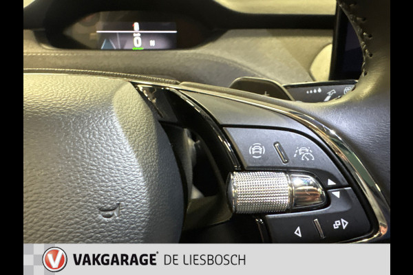 Škoda ENYAQ iV 80 / Navigatie / pdc v+a / camera / Panorama-dak