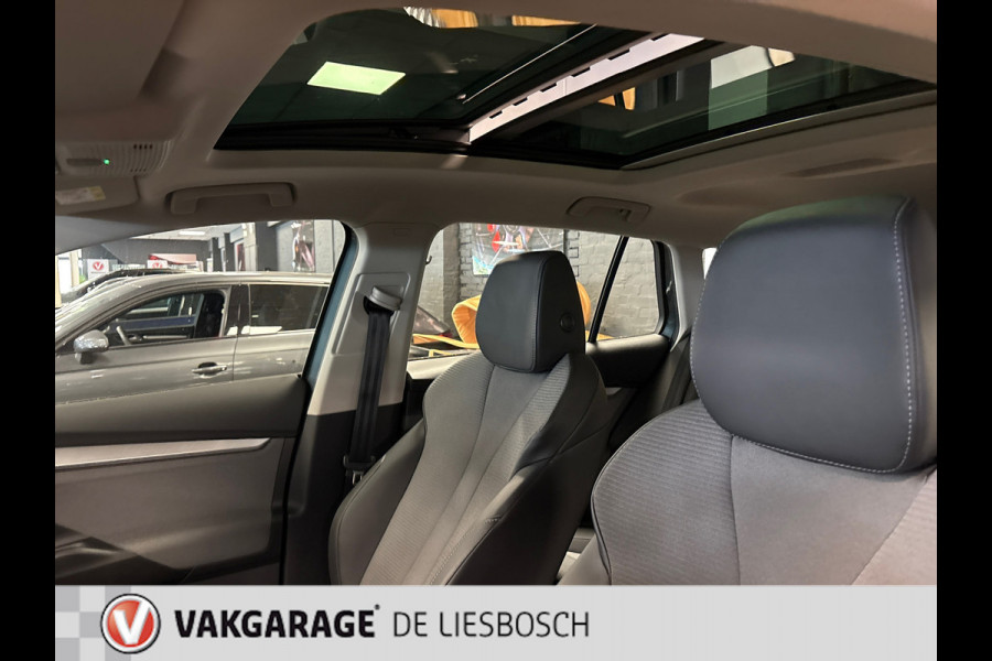 Škoda ENYAQ iV 80 / Navigatie / pdc v+a / camera / Panorama-dak
