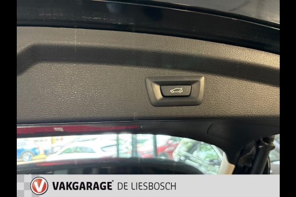 BMW X2 XDrive25e Business Edition Plus / head-up / Panorama-dak / Leder / stoelverwarming