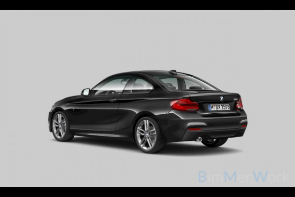BMW 2 Serie Coupé 218i High Executive M Sport | M Performance | Stoelverwarming | Navigatie | Keyless | Camera | Cruise Control | DAB | HIFI | Parkeersensoren | Leer | Digital Dash | Automaat | NAP | Orig. NL | BTW