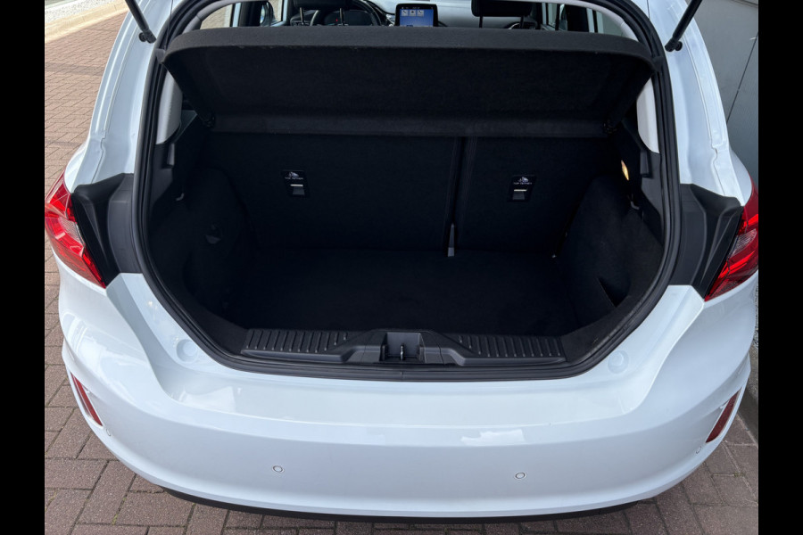 Ford Fiesta 1.0 EcoB.100pk Titanium 5-drs. LED/CAMERA/B&O-AUDIO/WINTERPACK/ADAPT.CRUISE