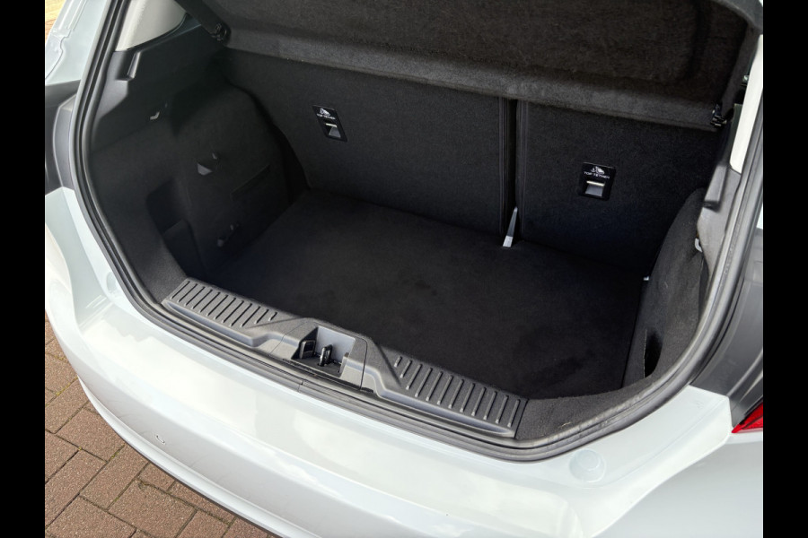Ford Fiesta 1.0 EcoB.100pk Titanium 5-drs. LED/CAMERA/B&O-AUDIO/WINTERPACK/ADAPT.CRUISE