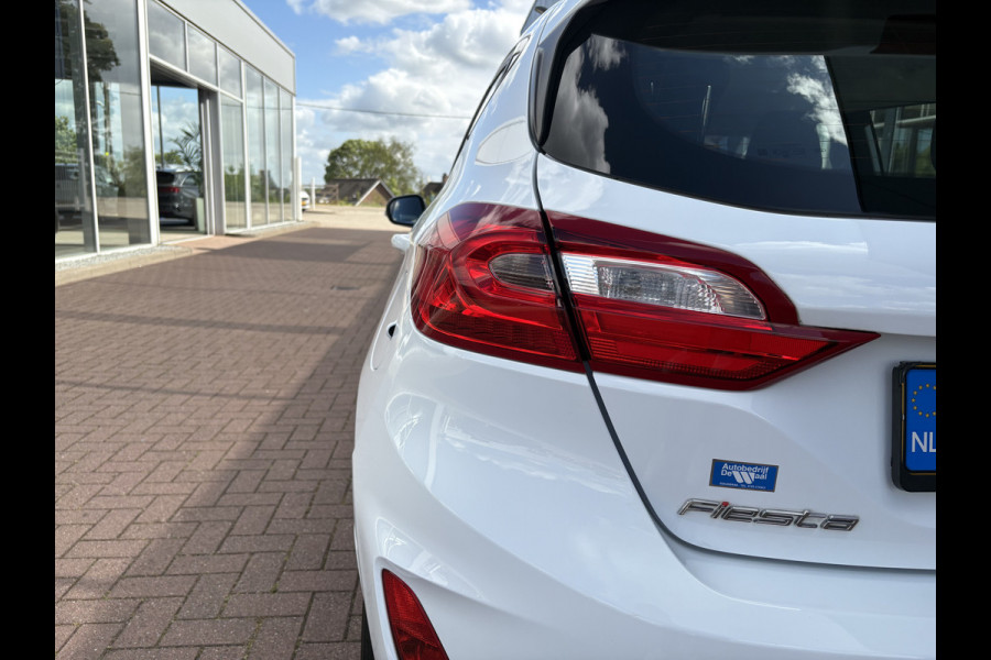 Ford Fiesta 1.0 EcoB.100pk Titanium 5-drs. LED/CAMERA/B&O-AUDIO/WINTERPACK/ADAPT.CRUISE