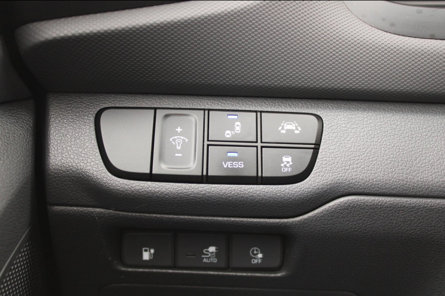 Hyundai IONIQ Premium EV Leder Infinity Schuifdak