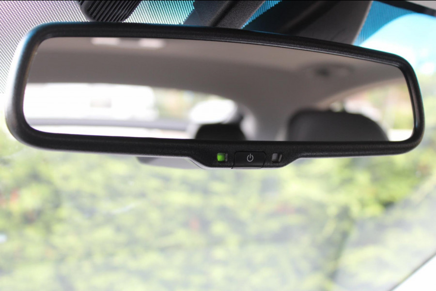 Hyundai IONIQ Premium EV Leder Infinity Schuifdak