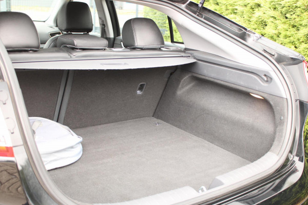 Hyundai IONIQ Premium EV Leder Infinity Schuifdak