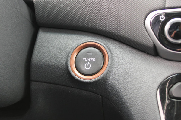 Hyundai IONIQ Premium EV Leder Infinity Schuifdak