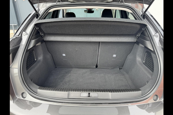 DS DS 3 1.2 PT130 EAT8 Performance Line | Pack Techno | Prijs is rijklaar
