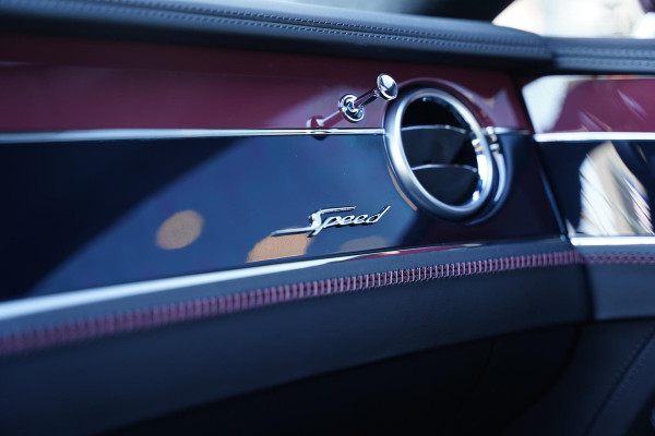 Bentley Continental GT 4.0 V8 Hybrid Speed Naim Panoramadak