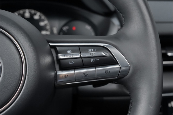 Mazda MX-30 e-SkyActiv 145 Luxury 36 kWh Schuifdak Bose 1e Eig Ori NL