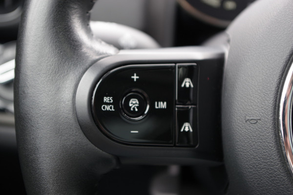 MINI Countryman 2.0 Cooper S E 225 PK ALL4 MINI Yours, Panoramadak, Leder, Adap. Cruise Control, Carplay
