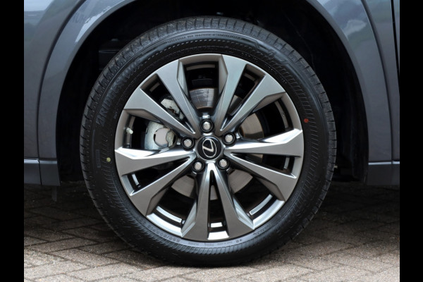 Lexus UX 250h F Sport Line Premium | Premium Navi | Sport-Interieur