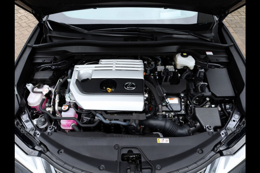 Lexus UX 250h F Sport Line Premium | Premium Navi | Sport-Interieur
