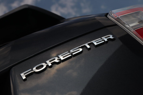 Subaru Forester 2.0 Premium / PANODAK / CAMERA / STOELVERW / TREKHAAK