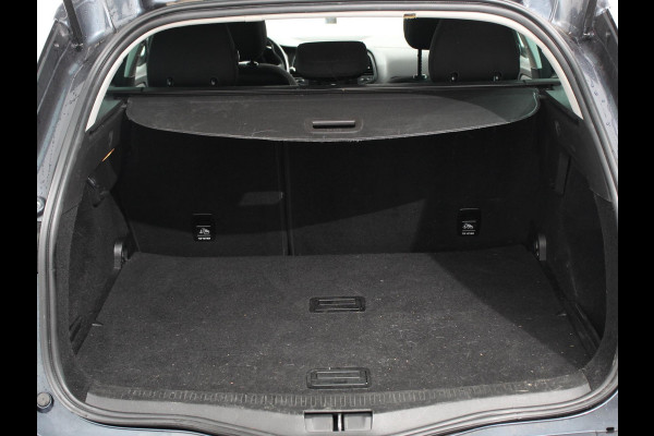 Renault MEGANE Estate 1.2 TCe Limited Navigatie Climate Control Lichtmetalen velgen Cruise Control Handel/Export!