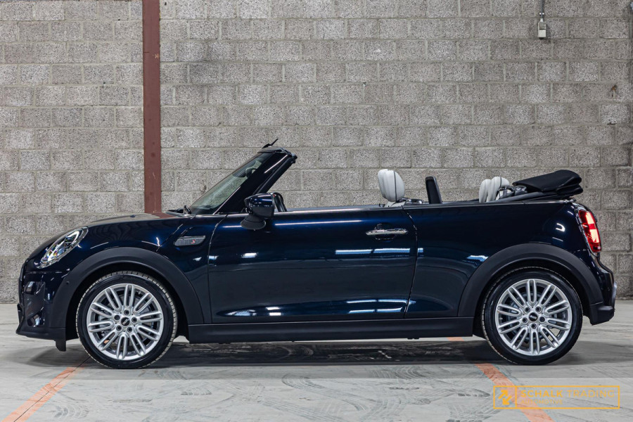 MINI Cabrio 2.0 Cooper S|Cam|H&K|HUD|Dealer|DAB|Garantie