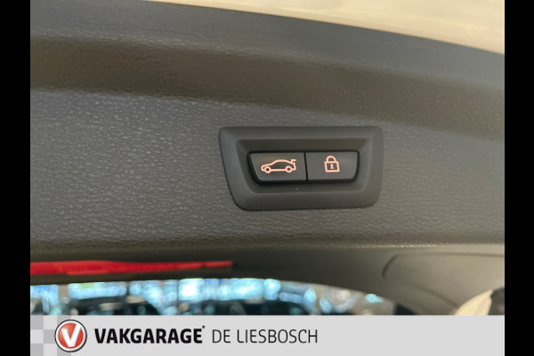 BMW X2 XDrive25e High Executive M-sport / camera / stoelverwarming / Head-up / panorama-dak