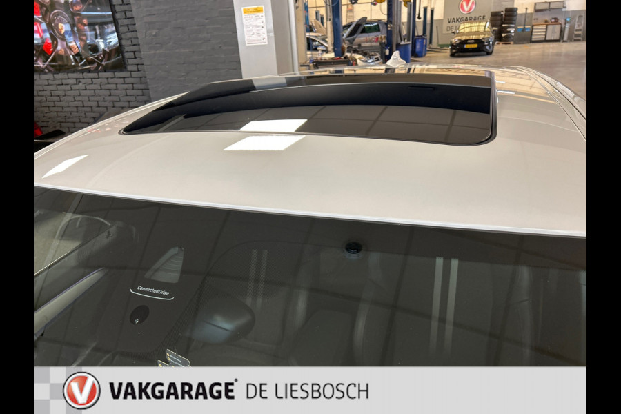 BMW X2 XDrive25e High Executive M-sport / camera / stoelverwarming / Head-up / panorama-dak