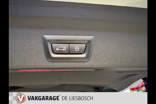 MINI Countryman 2.0 Cooper S E ALL4 Untamed Edition / leder /Panorama-dak /head-up/ rijklaar
