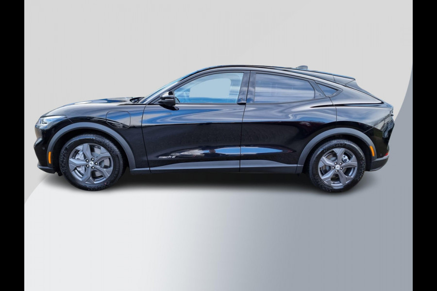 Ford Mustang Mach-E RWD 75 kWh 269pk | Technology Pack + | Adaptieve cruise | Winterpack |