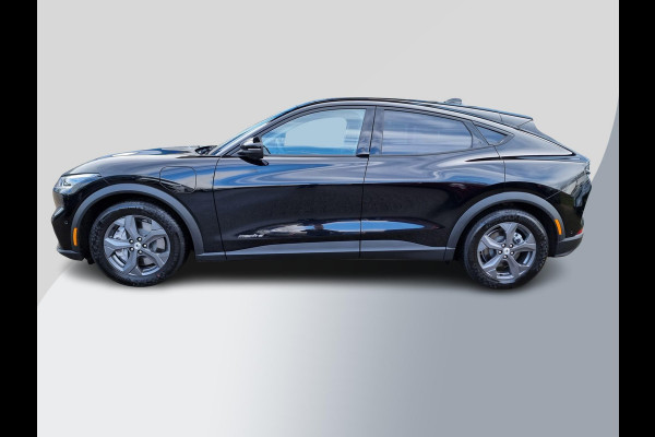 Ford Mustang Mach-E RWD 75 kWh 269pk | Technology Pack + | Adaptieve cruise | Winterpack |