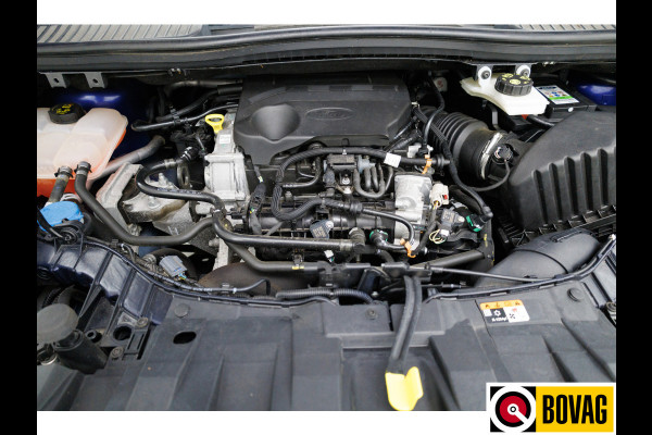 Ford C-MAX 1.0 Titanium Climate-control, Cruise-control, Navigatie, App-connect, All-season banden