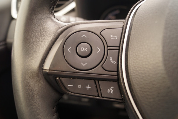 Toyota RAV4 2.5 Hybrid Black Edition -PANO-ECC-LED-TREKHAAK-