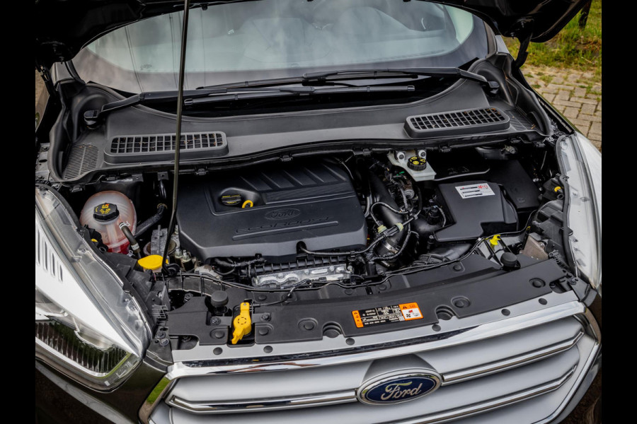 Ford Kuga 1.5 EcoBoost Titanium|Achteruitrijcamera|Trekhaak