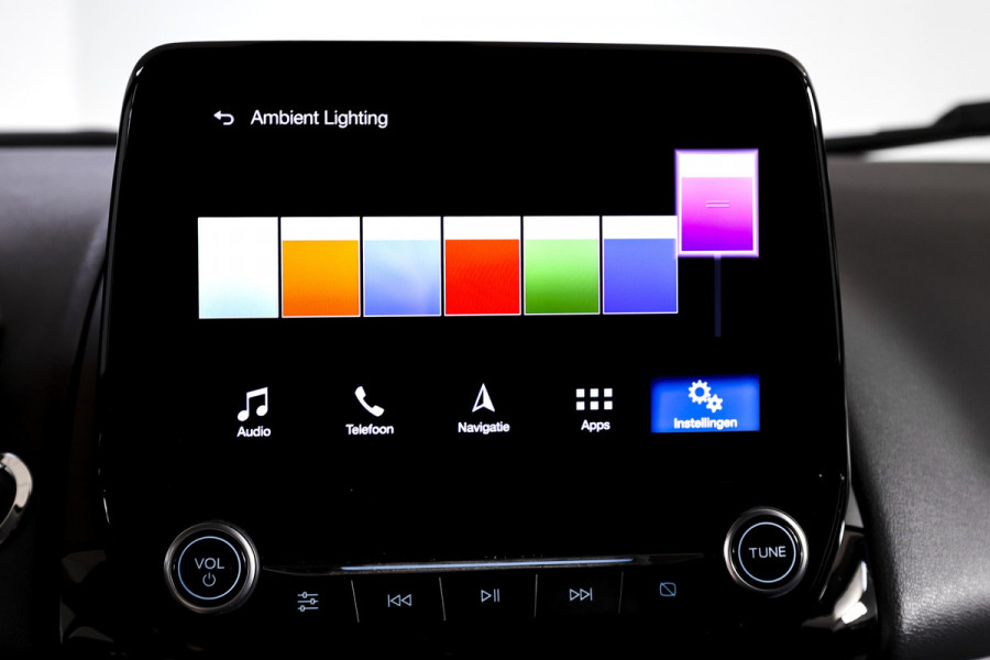 Ford EcoSport 1.0 EcoBoost 125 PK ST-Line - Automaat | Cruise | PDC | NAV + App. Connect | ECC | LM 17 " |