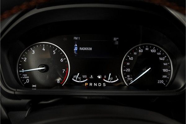 Ford EcoSport 1.0 EcoBoost 125 PK ST-Line - Automaat | Cruise | PDC | NAV + App. Connect | ECC | LM 17 " |