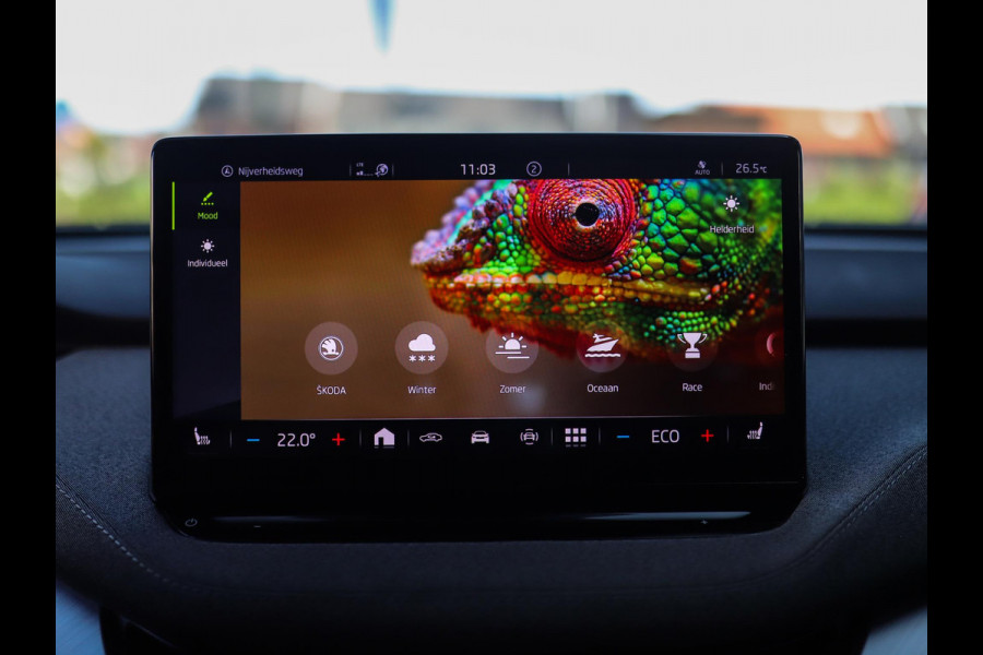Škoda ENYAQ iV 60 First Edition | Camera | ACC | Stuur/Stoelverw. | Virtual Cockpit