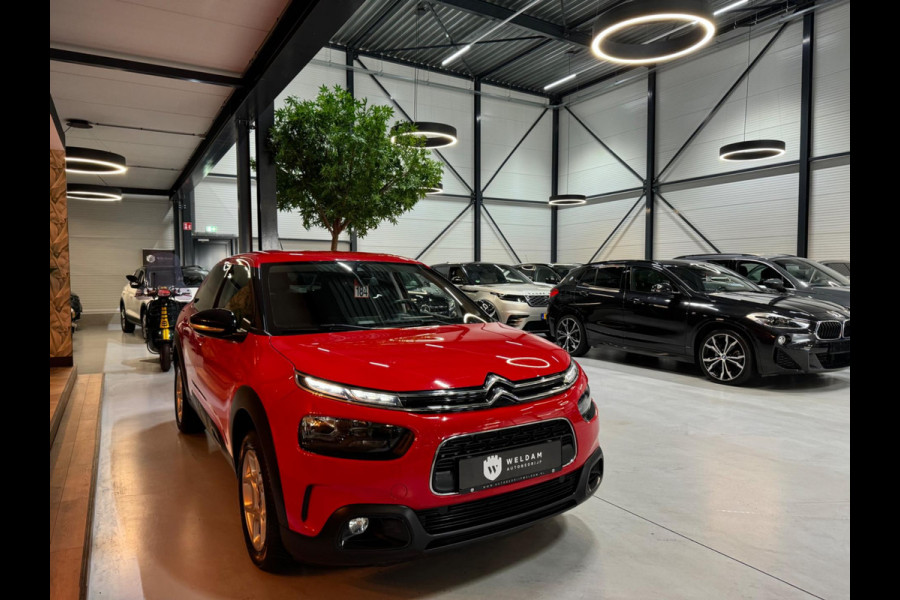 Citroën C4 Cactus 1.2 PureTech Feel Garantie CarPlay Cruise Clima Navi Lane Parkeerhulp Rijklaar