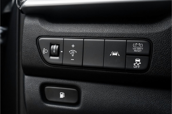 Kia Niro 1.6 GDi Hybrid DynamicLine Navi Camera ECC