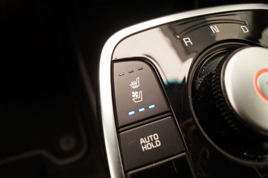 Kia e-Niro ExecutiveLine 64kWh -LEER-NAVI-ECC-CAM-