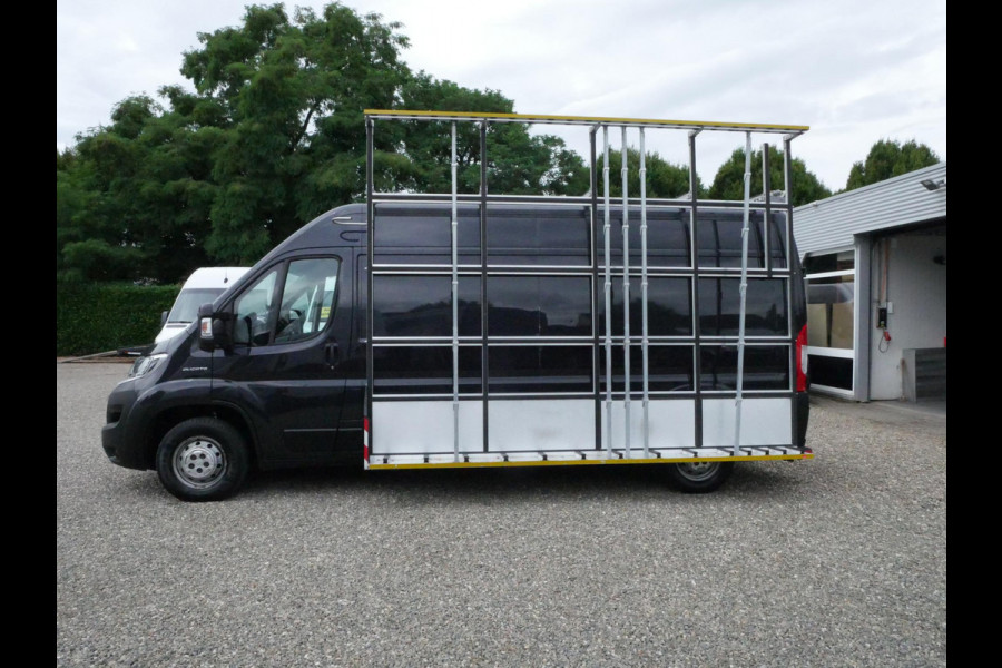 Fiat Ducato 2.3 MultiJet 130PK, L3H2, Airco, Glasresteel Prime Design, type 1642, 500 Kg max