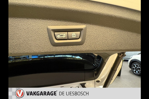 BMW X2 XDrive25e High Executive M-sport / camera / stoelverwarming / Head-up / panorama-dak
