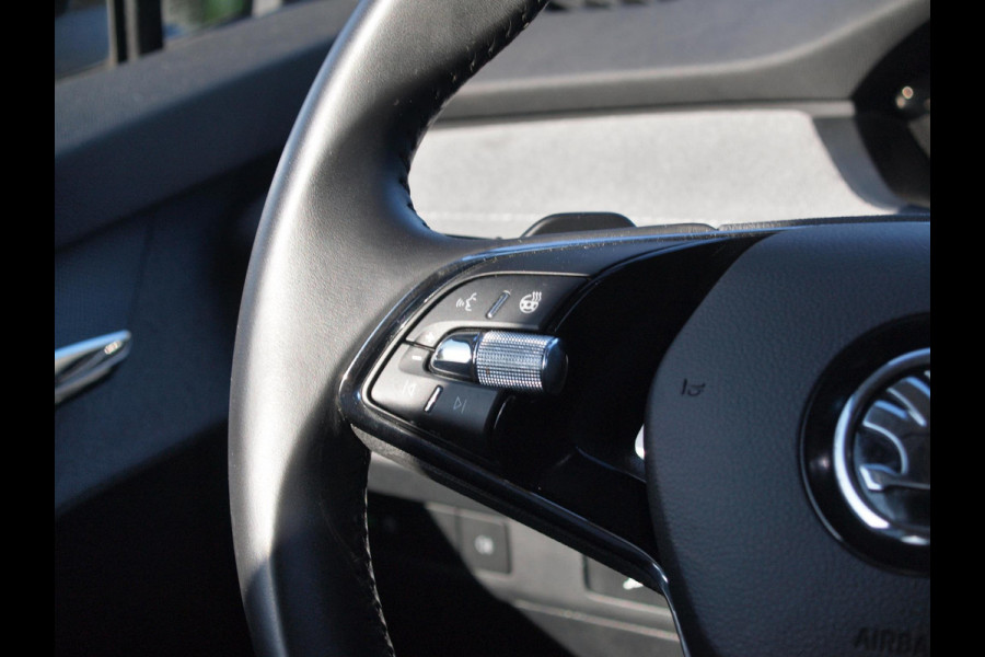 Škoda ENYAQ iV 80 | Camera | Apple Carplay | Cruise Control | Trekhaak |