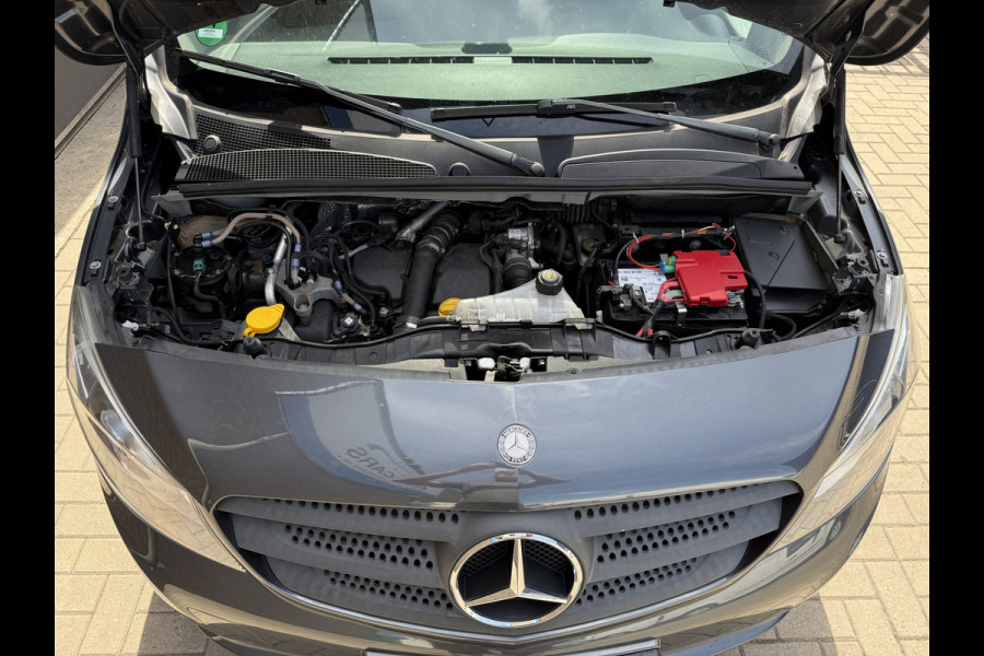 Mercedes-Benz Citan 109 CDI BlueEFFICIENCY Achteruitrijcamera/cruise control/navi