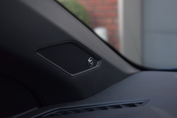 Volkswagen Polo GTI 2.0 TSI 200pk DSG | Pano | Camera | Beats