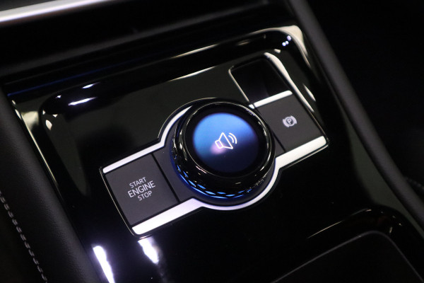 Volkswagen Tiguan 1.5 eHybrid R-Line Business Volleder IQ-light Panoramadak elec.Trekhaak