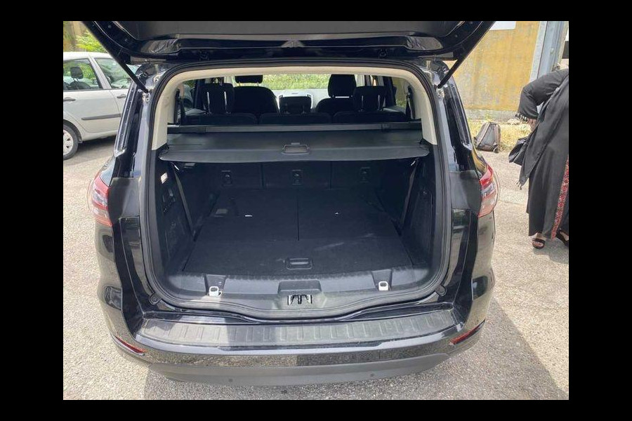 Ford S-Max 2.5 FHEV Titanium 7P 190pk | SYNC 3 Navigatie | Apple Carplay/Android Auto | 7 Persoons! |