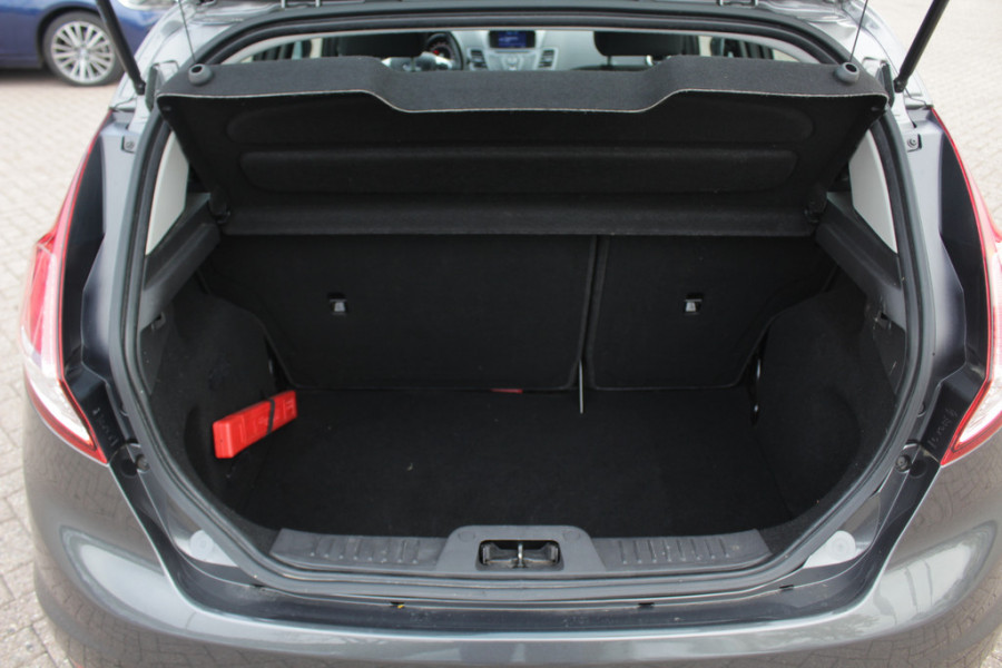 Ford Fiesta 1.0 EcoBoost Titanium Navigatie / Parkeerhulp achter / Bluetooth / 15'' / Cruise Control