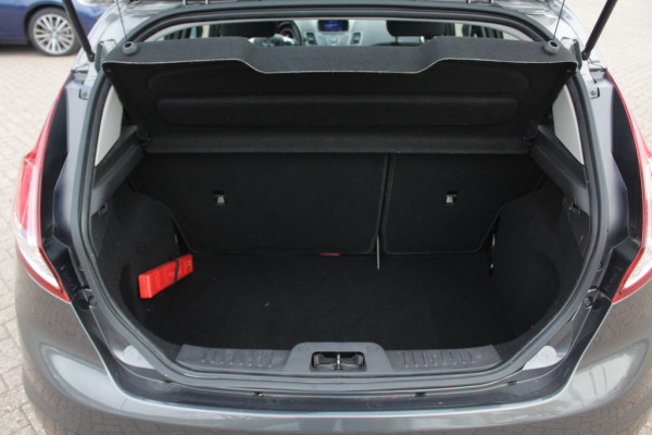 Ford Fiesta 1.0 EcoBoost Titanium Navigatie / Parkeerhulp achter / Bluetooth / 15'' / Cruise Control