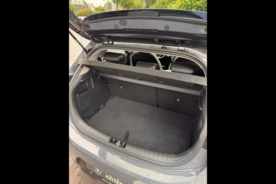 Kia Rio 1.0 T-GDi MHEV DynamicLine GT LineAirco Clima Cruise Leer/Stof Schuif/Kantel dak